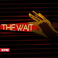 Dru Masters - The Wait