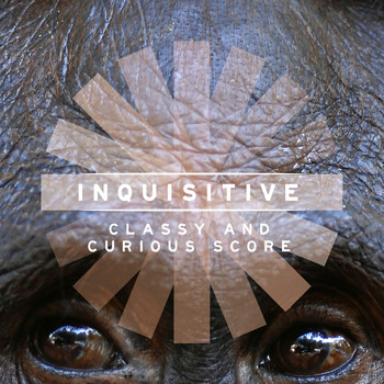 Various Artists - Inquisitive: Classy and Curious Score