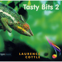 Laurence Cottle - Tasty Bits 2