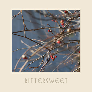 Marc Lonchampt - Bittersweet