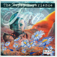 David Hewson & Harry Gregson Williams - The Human Experience Part 2