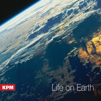 Daryl Griffith - Life on Earth