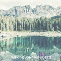 Relaxing Spa Music Beats - Music for Tranquility (Shakuhachi and Acoustic Guitar)