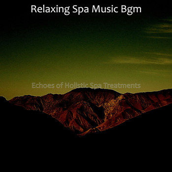 Relaxing Spa Music Bgm - Echoes of Holistic Spa Treatments