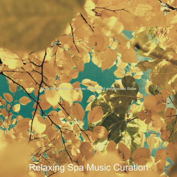Relaxing Spa Music Curation - Music for Serenity - Carefree Shakuhachi and Acoustic Guitar