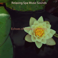 Relaxing Spa Music Sounds - Echoes of Massage Therapy