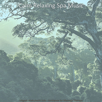 Calm Relaxing Spa Music - Elegant Shakuhachi Solo - Ambiance for Massage Therapy