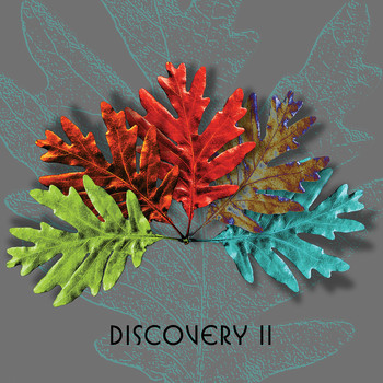 Various Artists - Discovery II