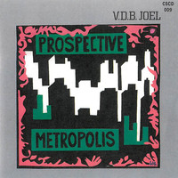 Joel Vandroogenbroeck - Prospective Metropolis / Digital Project