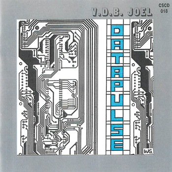 Joel Vandroogenbroeck - Datapulse