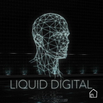 Various Artists - Liquid Digital