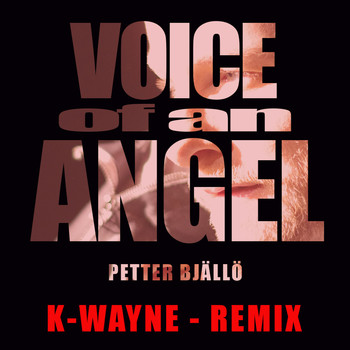 Petter Bjällö - Voice of an Angel (K-Wayne Remix)