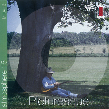 Various Artists - Picturesque