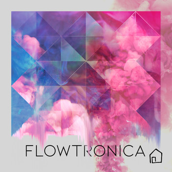 Various Artists - Flowtronica