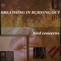 Bird Concerns - Breathing In Burning Out