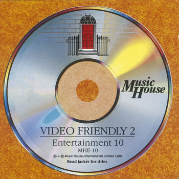 Various Artists - Video Friendly 2