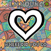 E.N Young - Where Did You Go