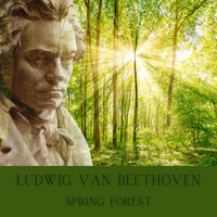 Midi Kid - Beethoven : Spring Forest (432 HZ)