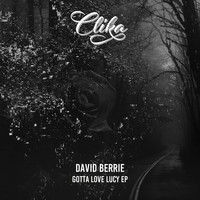 David Berrie - Gotta Love Lucy