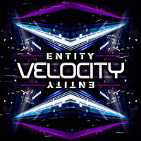 Entity - Velocity