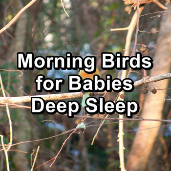 Sleep - Morning Birds for Babies Deep Sleep