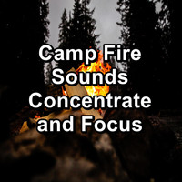 Yoga & Meditation - Camp Fire Sounds Concentrate and Focus