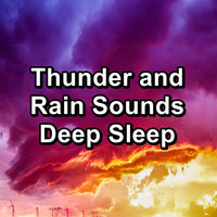 Sleepy Rain - Thunder and Rain Sounds Deep Sleep