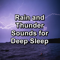 Rain - Rain and Thunder Sounds for Deep Sleep
