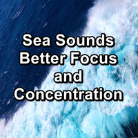 Ambient White Noise Ocean Waves - Sea Sounds Better Focus and Concentration