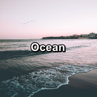 Alpha Waves - Ocean