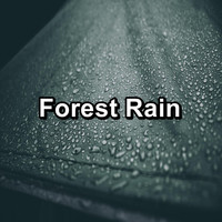 Rain Sounds for Sleep - Forest Rain