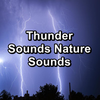 Sleep Tribe - Thunder Sounds Nature Sounds