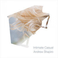 Andrew Shapiro - Intimate Casual