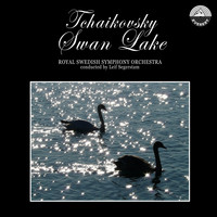 Royal Swedish Symphony Orchestra - Tchaikovsky Swan Lake