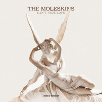 The Moleskins - Can't Hide Love (Index Remix)