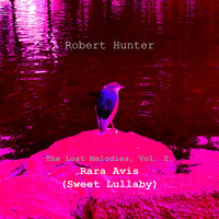 Robert Hunter - The Lost Melodies, Vol. 2