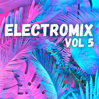 Phenomenon - Electromix Vol 5