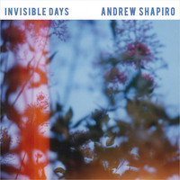 Andrew Shapiro - Invisible Days (15th Anniversary Edition)