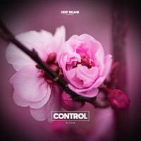 DITSUO - Control