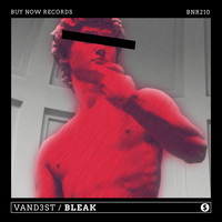 VAND3ST - Bleak
