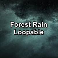 Lightning Thunder and Rain Storm - Forest Rain Loopable