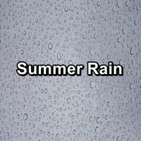 Rain Shower - Summer Rain