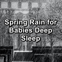 Rain Sounds for Relaxation - Spring Rain for Babies Deep Sleep