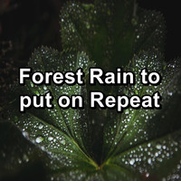 Thunder Storm - Forest Rain to put on Repeat
