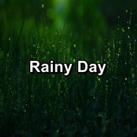 Nature Sounds for Relaxation - Rainy Day