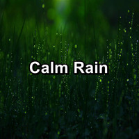 Gentle by Nature - Calm Rain