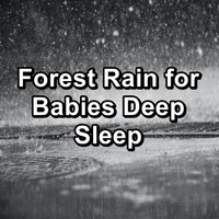 ASMR SLEEP - Forest Rain for Babies Deep Sleep