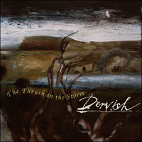 Dervish - The Thrush in the Storm