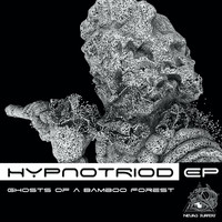 Hypnotriod - Ghosts of a Bamboo Forest