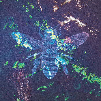Cesare vs Disorder - Holy Bee